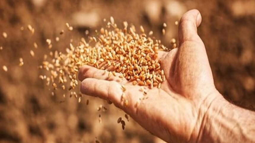 1728383732 577 96116 t25 tarimsaluretimdedisaba60