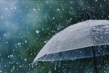 581022935 1257910906367474 3853005468847331424 n