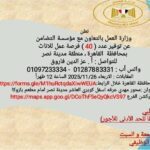 "وزارة العمل: 40 فرصة عمل للسيدات بمدينة نصر ضمن خطة التمكين الاقتصادي"