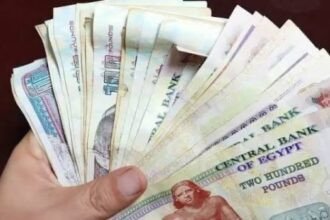 73077014990020250524023805385