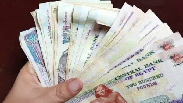 73077014990020250524023805385