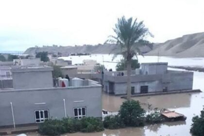 104460030 355c1558 ee20 437f a813 940f8bb2ea0f