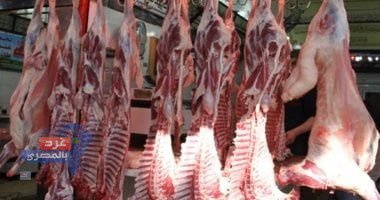 التموين تطرح منتجات اللحوم والأسماك بتخفيضات 20% بمناسبة أعياد الميلاد