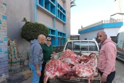 ضبط نصف طن لحوم مصابة بالحمى القلاعية قبل طرحها بالأسواق في قويسنا