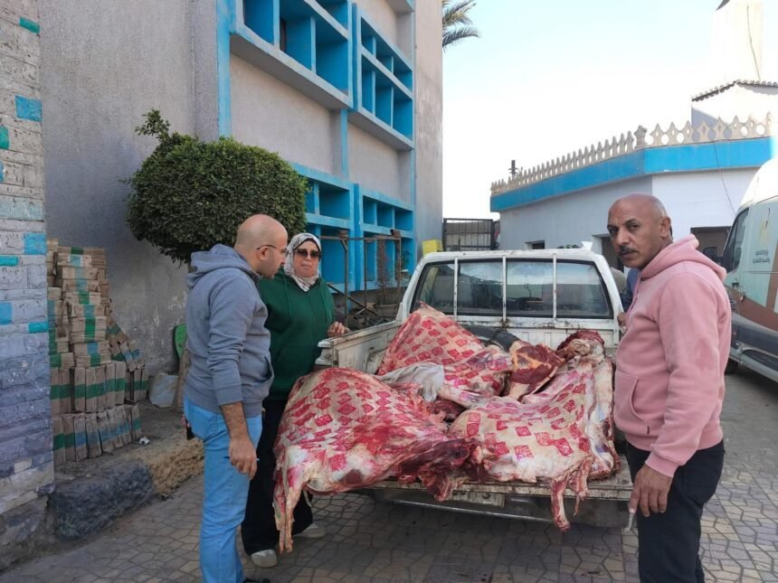 597399618 873927721895812 5827084938891705668 n