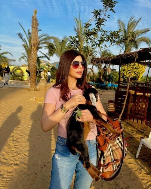 597754024 1284935867001494 2974597060046364442 n