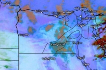 598420550 1282376977254200 8972535886113363310 n