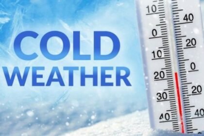 599709641 1285816390243592 7155686348948592293 n