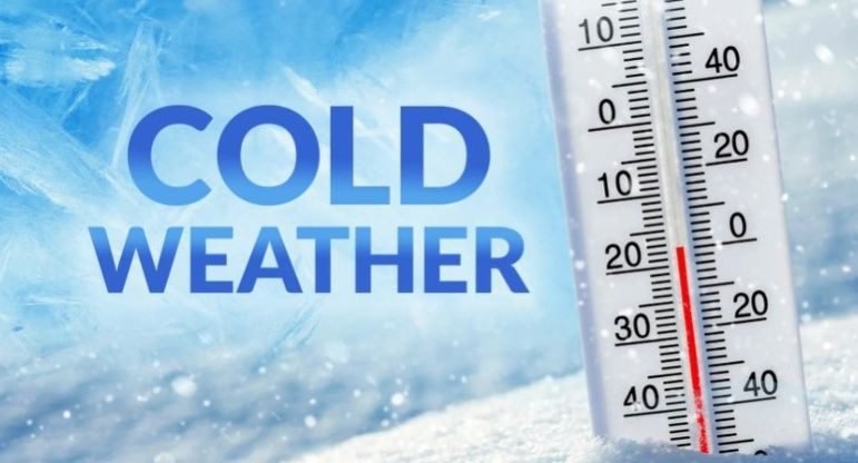 599709641 1285816390243592 7155686348948592293 n