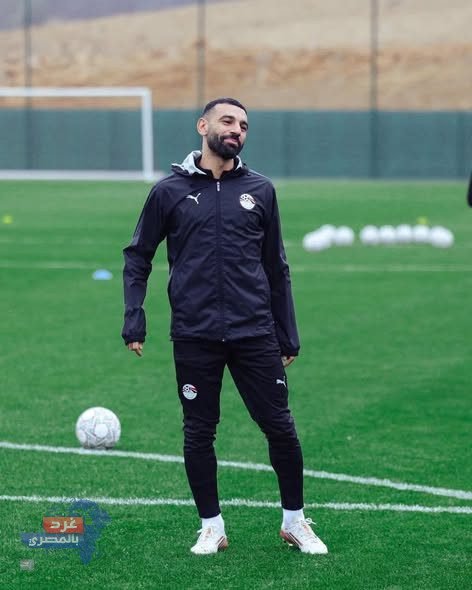 601852914 869355092135991 4276042129203336791 n