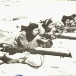 بورسعيد تتزين بذكرى عيد النصر.. 23 ديسمبر يوم الإرادة المصرية