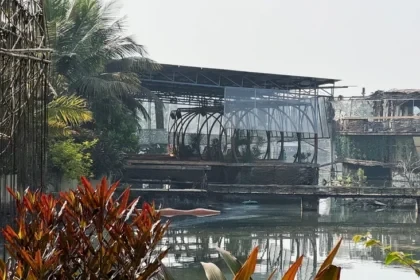 X1R947qrk8 1765090833