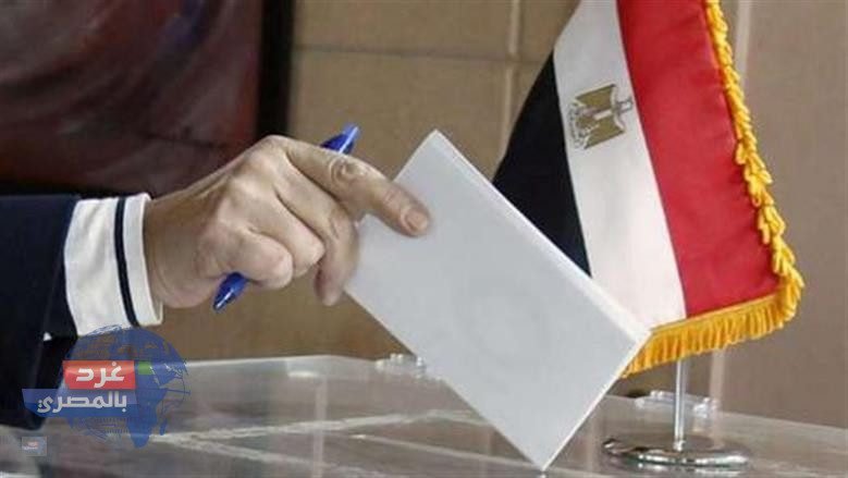 نتائج الإعادة في 19 دائرة ملغاة: 35 نائبًا جديدًا في 7 محافظات