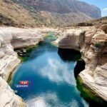 سقطرى… اللؤلؤة المنعزلة التي لا تُشبه أي مكان على وجه الأرض 🏝️