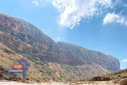 سقطرى… اللؤلؤة المنعزلة التي لا تُشبه أي مكان على وجه الأرض 🏝️