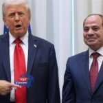 هامش المنتدى الاقتصادي العالمي