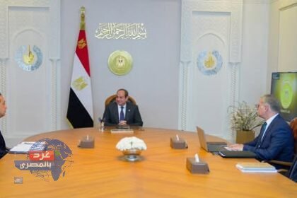 المسح السيزمي الجوي