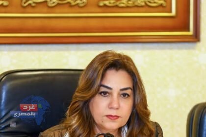 "التنمية المحلية: التشغيل التجريبي ل مجزر الخارجة بالوادي الجديد بتكلفة 21.8 مليون جنيه"