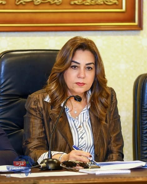 "التنمية المحلية: التشغيل التجريبي ل مجزر الخارجة بالوادي الجديد بتكلفة 21.8 مليون جنيه"