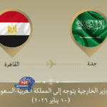 وزير الخارجية المصري يتوجه إلى جدة للمشاركة في الدورة الاستثنائية لمجلس وزراء منظمة التعاون الإسلامي
