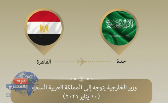وزير الخارجية المصري يتوجه إلى جدة للمشاركة في الدورة الاستثنائية لمجلس وزراء منظمة التعاون الإسلامي