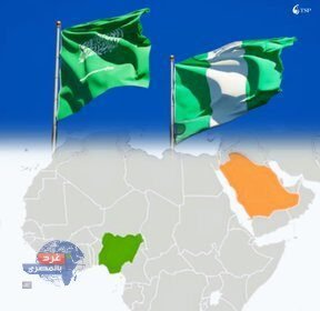 نيجيريا تعرض مشاريع ليثيوم وذهب بقيمة 600 مليون دولار على السعودية