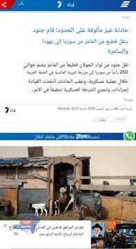 "القناة السابعة: جنود إسرائيليون يسرقون قطيعاً من 250 رأس أغنام من سوريا وينقلونه إلى الضفة الغربية" "القناة السابعة: جنود إسرائيليون يسرقون قطيعاً من 250 رأس أغنام من سوريا وينقلونه إلى الضفة الغربية"