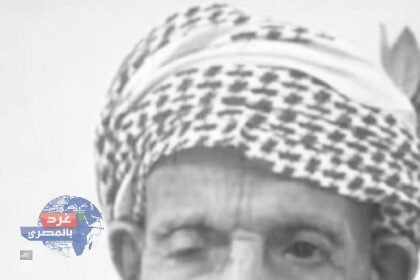 "ناصر الوادعي"