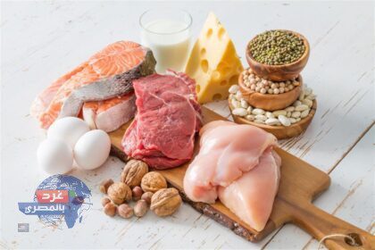 الزراعة: طرح اللحوم والدواجن والبيض بأسعار التكلفة طوال شهر رمضان