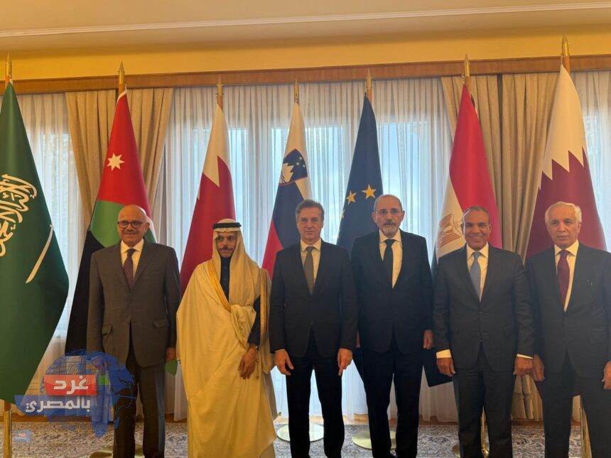 مباحثات ليوبليانا.. وزراء خارجية مصر والسعودية والأردن والبحرين وقطر مع رئيس وزراء سلوفينيا لدعم فلسطين وخطة السلام مباحثات ليوبليانا.. وزراء خارجية مصر والسعودية والأردن والبحرين وقطر مع رئيس وزراء سلوفينيا لدعم فلسطين وخطة السلام