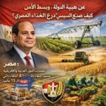 المركز الـ15 عالميًا.. السيسي يصنع "درع الغذاء" المصري بهيبة الدولة وبسط الأمن