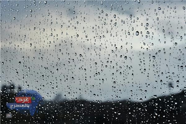 🌧️ أمطار وشبورة.. طقس الأحد 8 مارس يحمل مفاجآت للمصريين