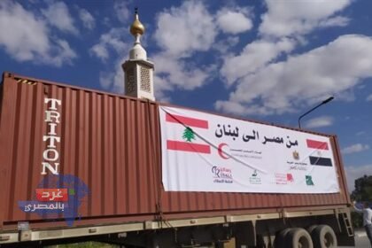 المساعدات الإغاثية