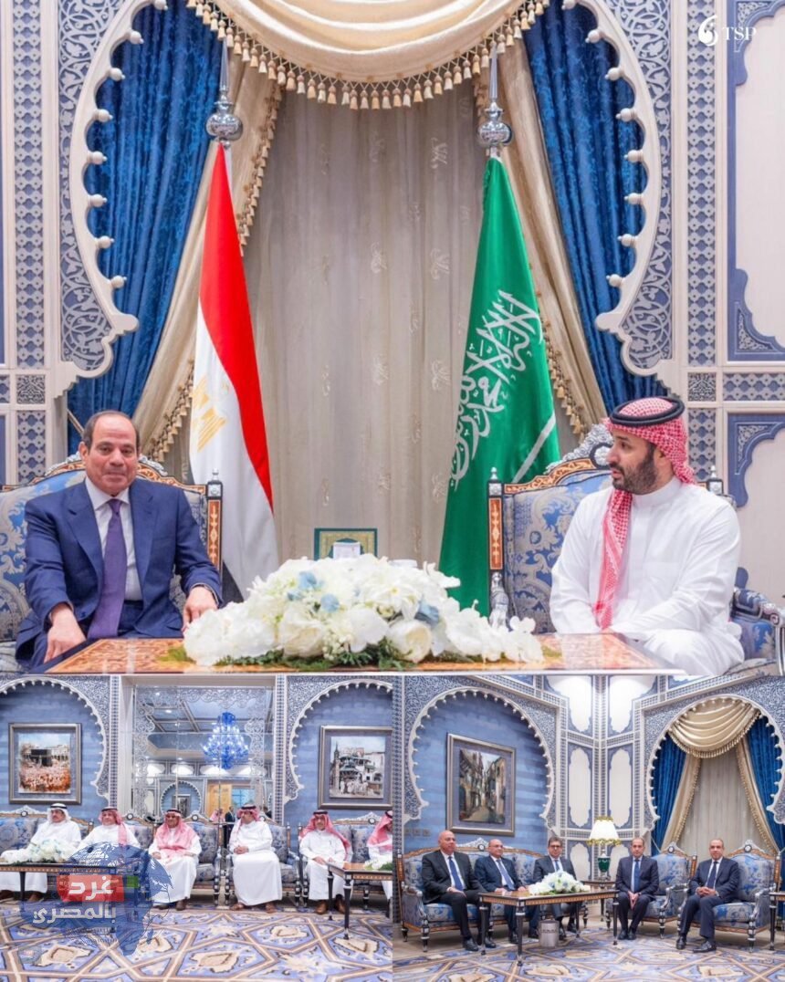 قمة جدة: السيسي وبن سلمان