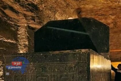 وزارة الآثار تحيل مسؤولين للتحقيق بعد واقعة تسلق تابوت بسقارة