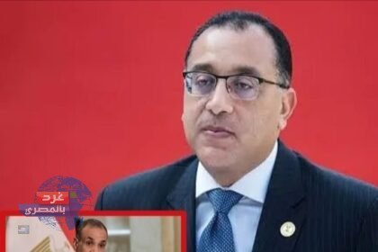 رسميا.. رئيس الحكومة يقرر تعيين وزير الخارجية محافظًا لمصر في البنك الدولي