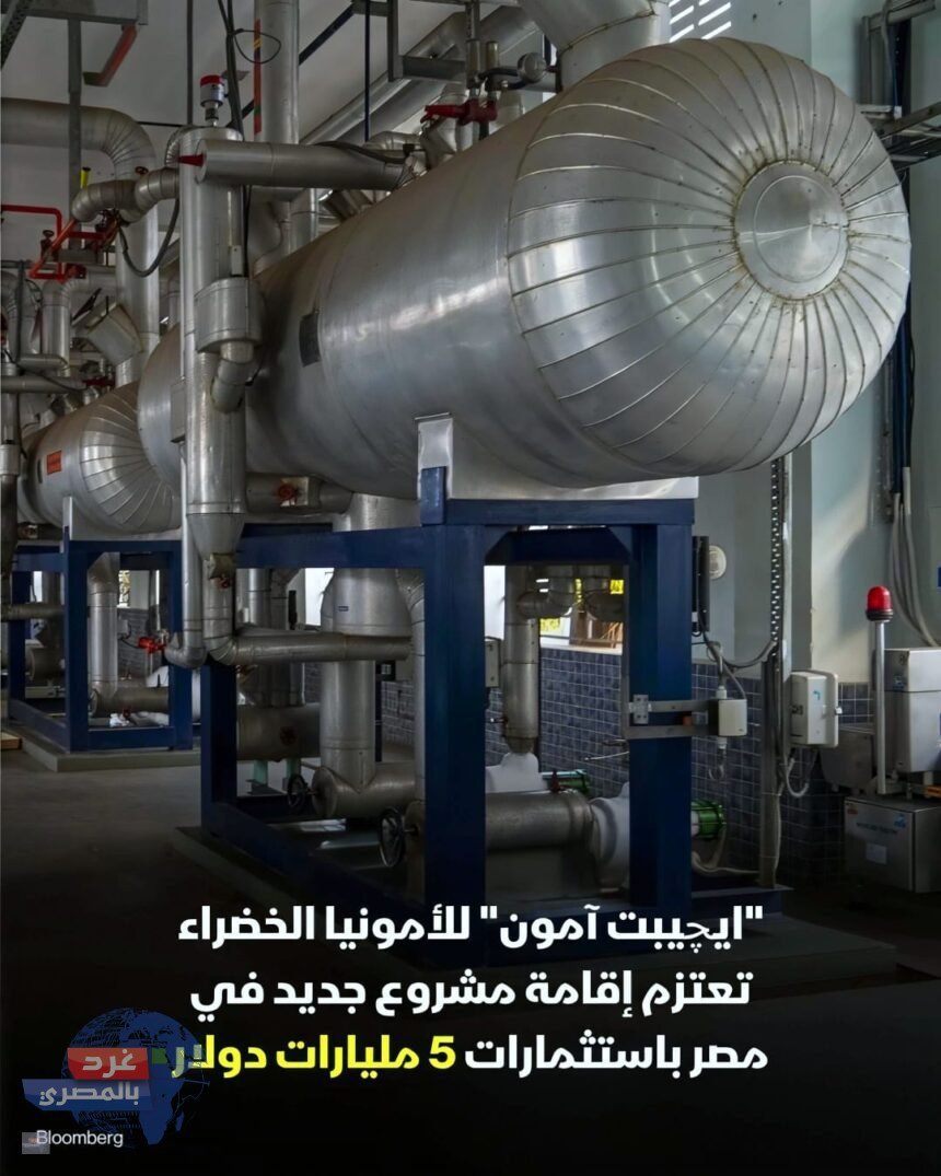 استثمار أخضر ضخم.. "إيچيبت آمون" تضخ 5 مليارات دولار لإنتاج الأمونيا في مصر