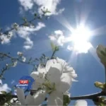 ربيع دافئ.. وشبورة تحجب الرؤية"