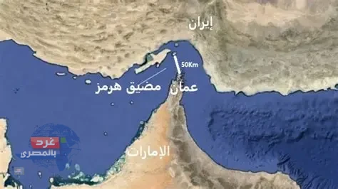 600 سفينة تجارية عالقة في مضيق هرمز