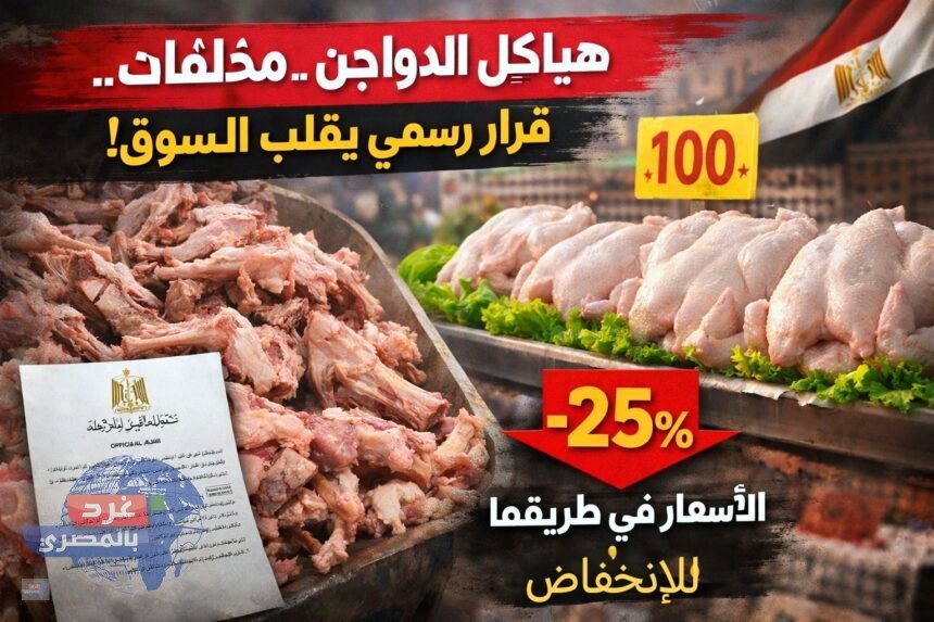 هياكل الدواجن مخلفات غذائية