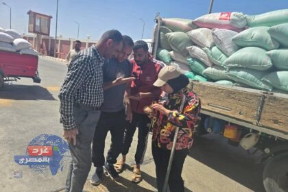 صوامع الوادي الجديد