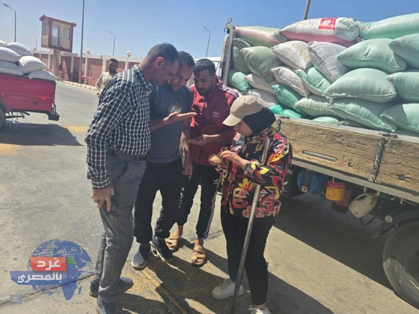 صوامع الوادي الجديد