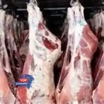 425 جنيهًا للكيلو
