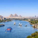 القاهرة تتألق عالميًا