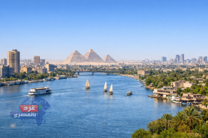 القاهرة تتألق عالميًا
