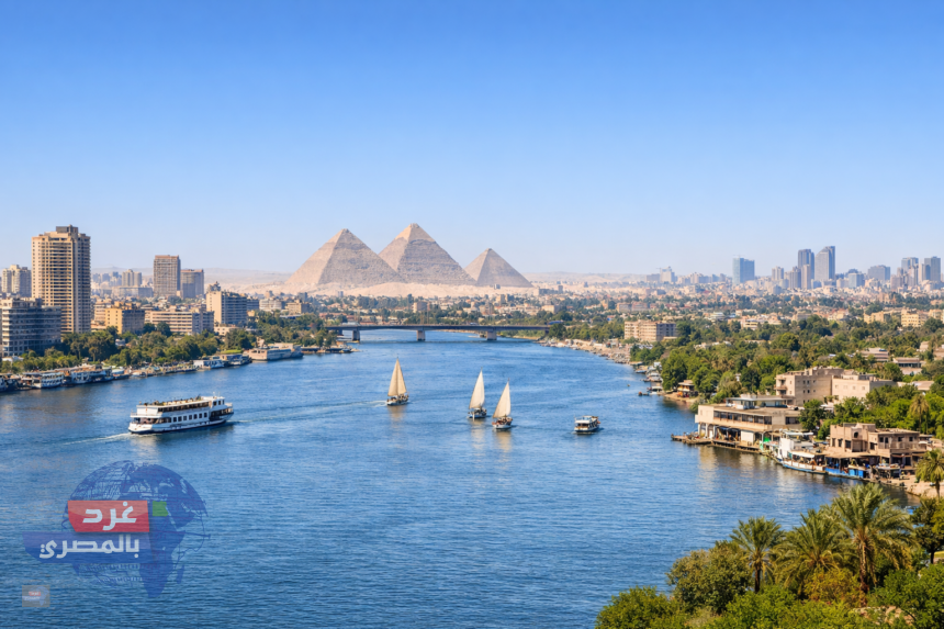 القاهرة تتألق عالميًا
