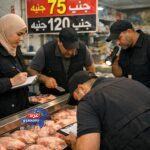 الإعلانات المضللة في سوق الدواجن