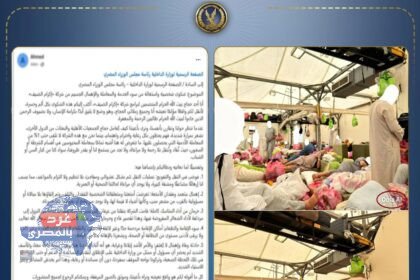 لا صحة لشائعات تضرر الحجاج المصريين