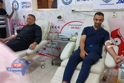 مصر في موسوعة جينيس