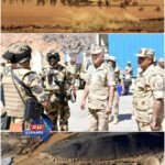 شبكات التنقيب عن الذهب